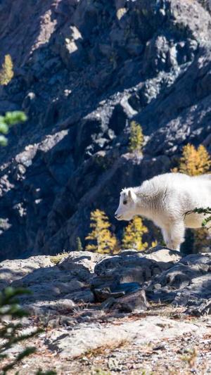 在线黑料吃瓜网截图1